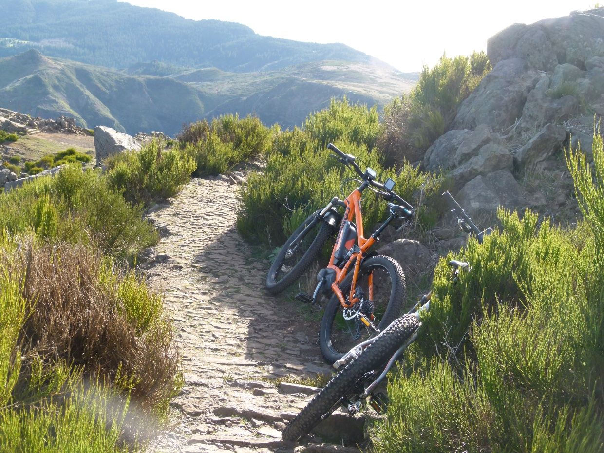 E-bikes with mountains in the background